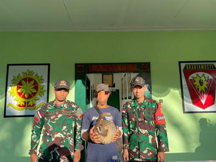 Beri Pemahaman Soal Hewan Dilindungi Satgas Pamtas RI - Malaysia Yonarmed 10/ Bradjamusti Kembali Amankan Trenggiling Yang Hendak Diselundupkan