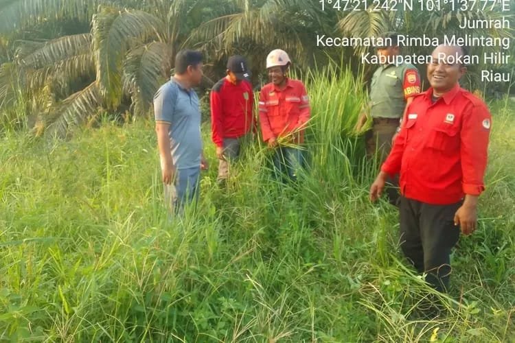 Anggota Koramil 05/RM dan MPA Patroli Antisipasi Karhutla di Kepenghuluan Jumrah