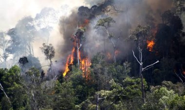 Pj Gubernur SF Hariyanto Tetapkan Riau dalam Status Siaga Darurat Karhutla