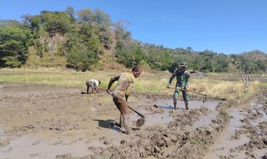 Satgas Yonkav 6/Naga Karimata Bantu Masyarakat dalam Pembajakan Sawah