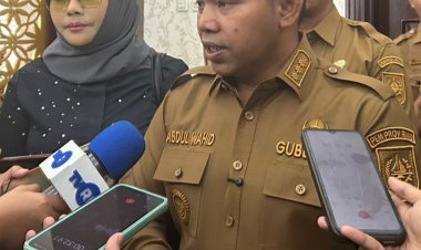 Iyeth Bustami Dukung Pemerataan Listrik Riau