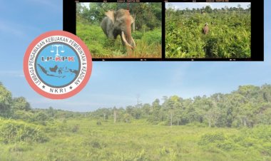 TNTN Dirampok, Siapa yang Lindungi?