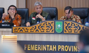 Riau Targetkan Replanting Sawit Rakyat 10.800 Hektare di 2025