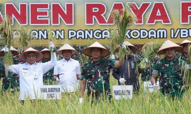 Panglima TNI Pimpin Panen Raya Padi di Deli Serdang, Dorong Swasembada Pangan Nasional