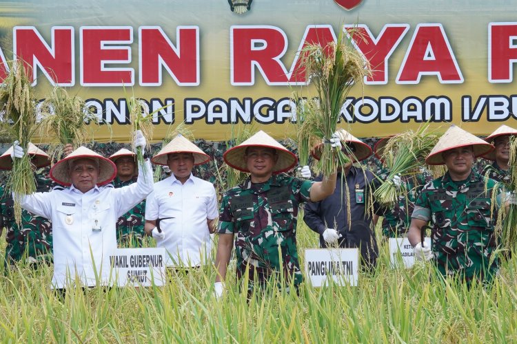 Panglima TNI Pimpin Panen Raya Padi di Deli Serdang, Dorong Swasembada Pangan Nasional