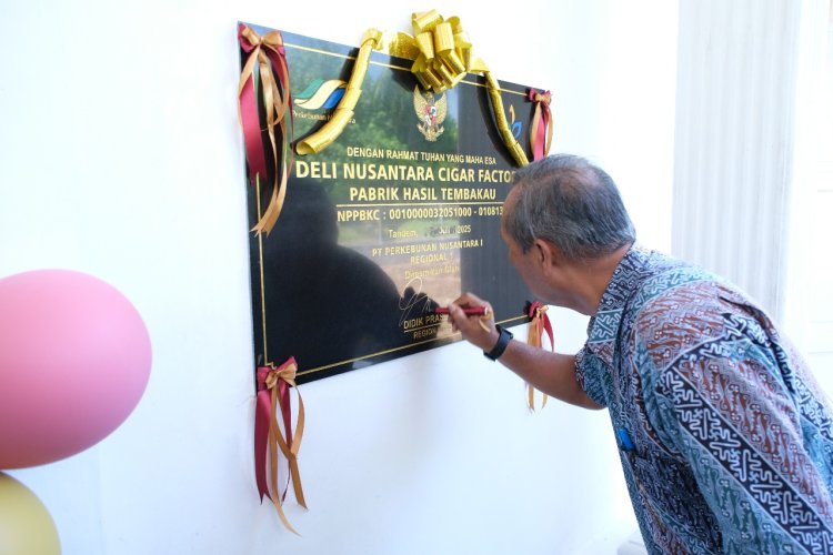 Pabrik Cerutu Tembakau Deli Resmi Dibuka di Deli Serdang