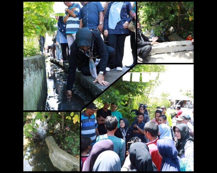 Bupati Siak Afni Tinjau Titik Rawan Banjir Tualang, Instruksikan Penanganan Cepat