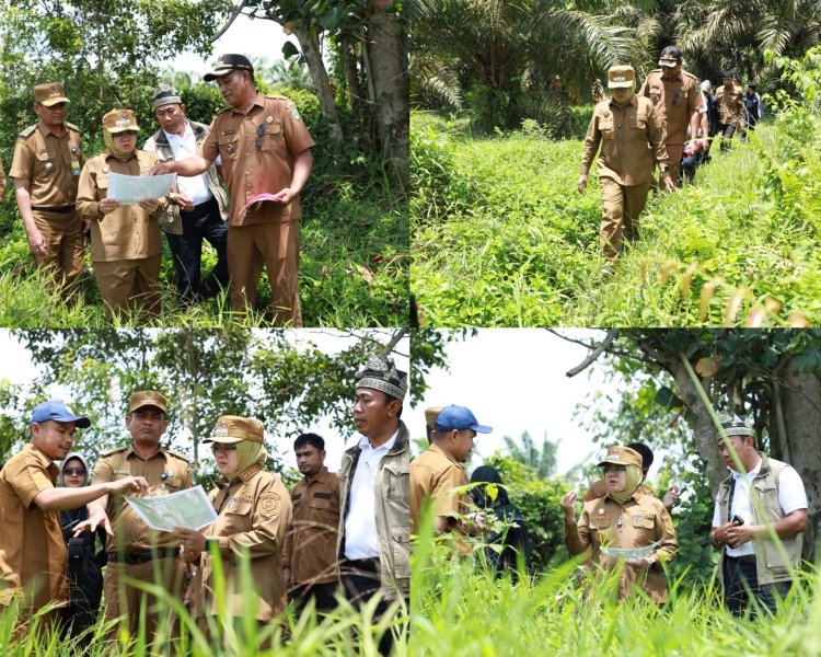 Optimalkan Aset Pemkab, Bupati Siak Tinjau Lahan Bungaraya