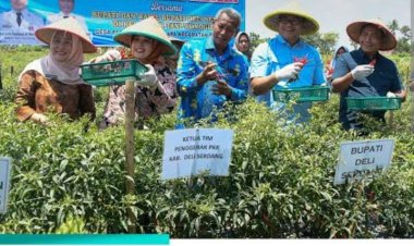 Deli Serdang Tekan Inflasi 3,80 Persen Berkat Program Ketahanan Pangan