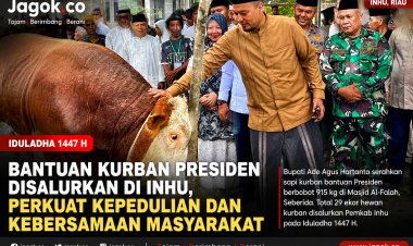 Bantuan Kurban Presiden dan Pemkab Inhu Capai 29 Ekor pada Iduladha 1447 H