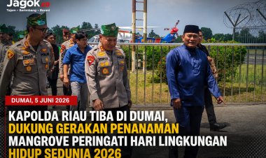 Hari Lingkungan Hidup, Kapolda Riau Tanam Mangrove di Dumai