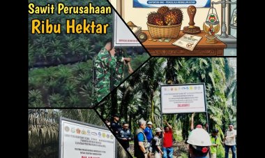 Gapoktan HMJ Setor Hasil Panen Kebun Eks PT SSS ke Negara