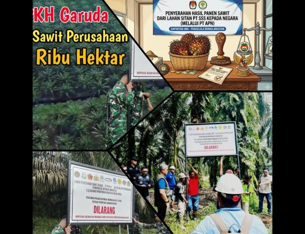 Gapoktan HMJ Setor Hasil Panen Kebun Eks PT SSS ke Negara