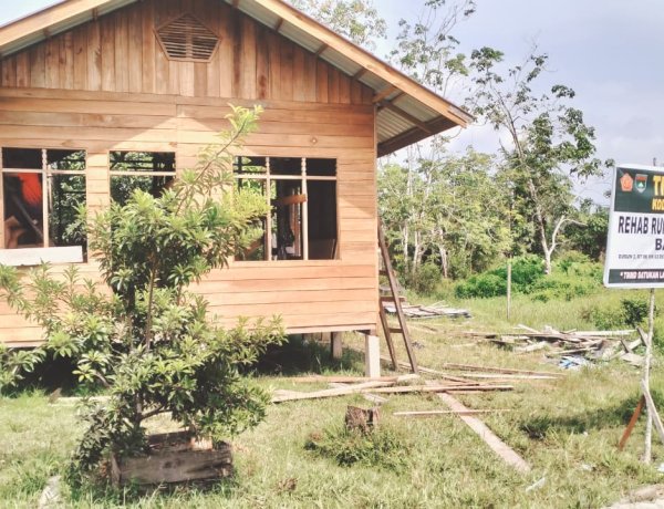 Sentuh Karya Tangan Satgas TMMD Kodim 0313/KPR Capai 65 Persen, Pembangunan RTLH Bapak Dedi di Desa Pangkalan Terap Kian Dekati Selesai