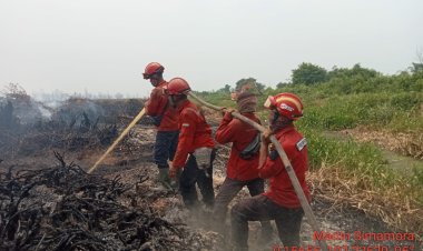 Komitmen RPK PT Arara Abadi Ikut Berjibaku Padamkan Api di Kecamatan Kerumutan