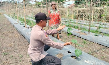 Sukseskan Swasembada Pangan, Bhabinkamtibmas Polsek Pangkalan Kerinci Sambangi Lahan Bergizi Warga Binaan
